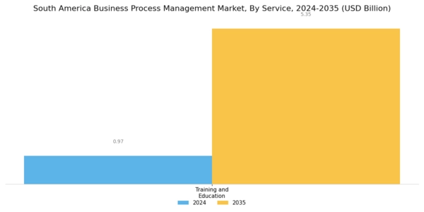 South America Business Process Management Market Segment Image 1