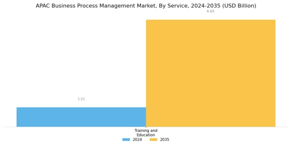 APAC Business Process Management Market Segment Image 1