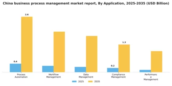 China Business Process Management Market Segment Image 0