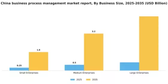 China Business Process Management Market Segment Image 1
