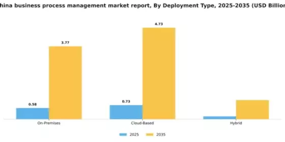 China Business Process Management Market Segment Image 2