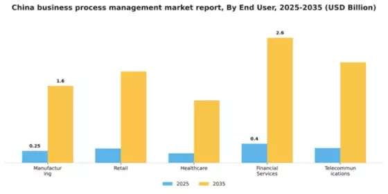 China Business Process Management Market Segment Image 3