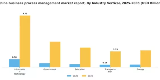 China Business Process Management Market Segment Image 4