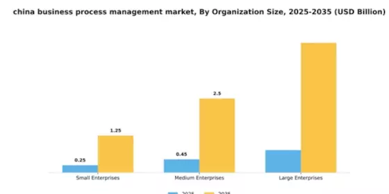 China Business Process Management Market Segment Image 4