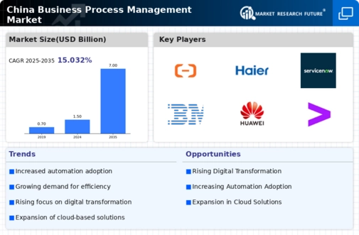 China Business Process Management Market Infographic