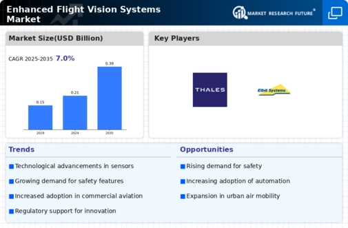 Enhanced Flight Vision Systems Market Infographic