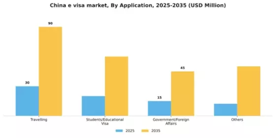 China E Visa Market Segment Image 0