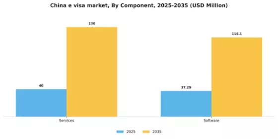 China E Visa Market Segment Image 1