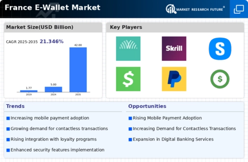 France E Wallet Market Infographic