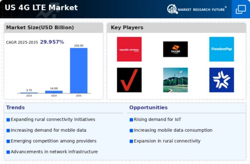 US 4G Lte Market
 Infographic