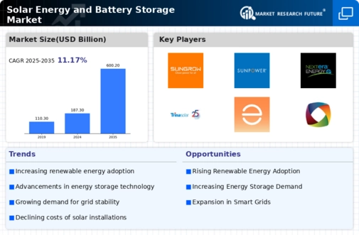 Solar Energy and Battery Storage Market Infographic
