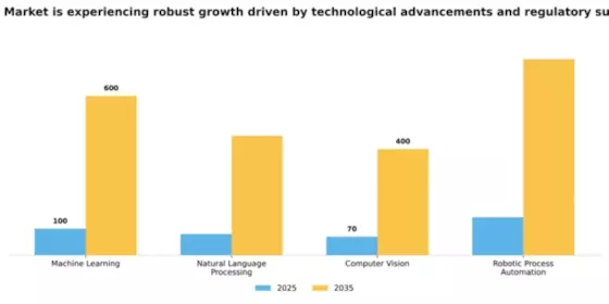 South America AI in Fintech Market Segment Image 3