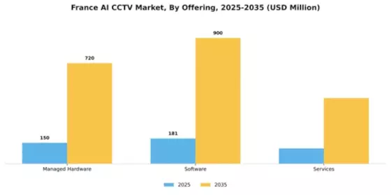 France AI CCTV Market Segment Image 3