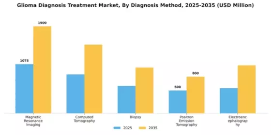 Glioma Diagnosis Treatment Market Segment Image 0