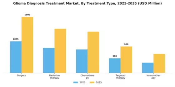Glioma Diagnosis Treatment Market Segment Image 3