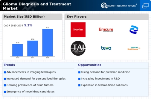 Glioma Diagnosis Treatment Market Infographic