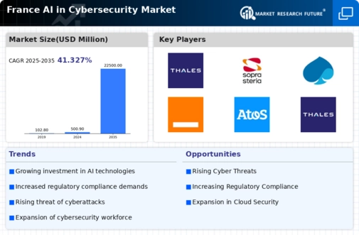 France AI in Cybersecurity Market Infographic
