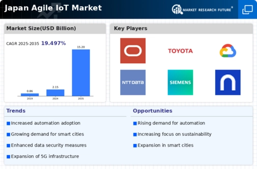 Japan Agile IoT Market Infographic