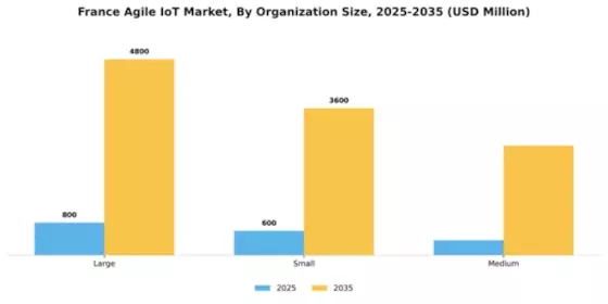 France Agile IoT Market Segment Image 3