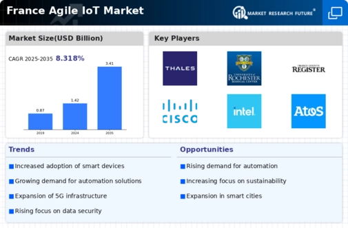 France Agile IoT Market Infographic