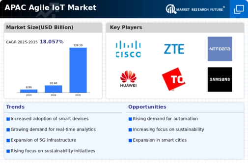 APAC Agile IoT Market Infographic