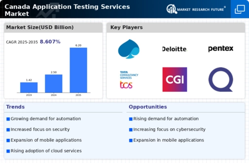 Canada Application Testing Services Market Infographic