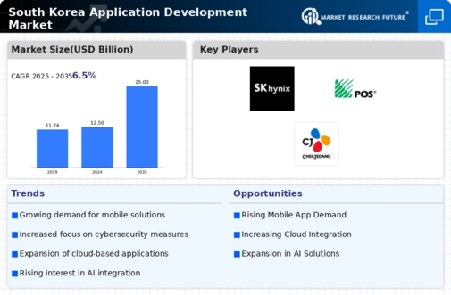 South Korea Application Development Market Infographic
