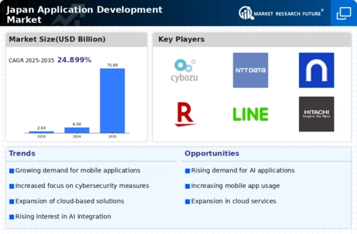 Japan Application Development Market Infographic