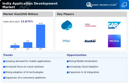 India Application Development Market Infographic