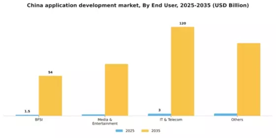 China Application Development Market Segment Image 0