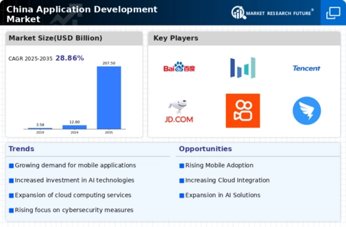 China Application Development Market Infographic