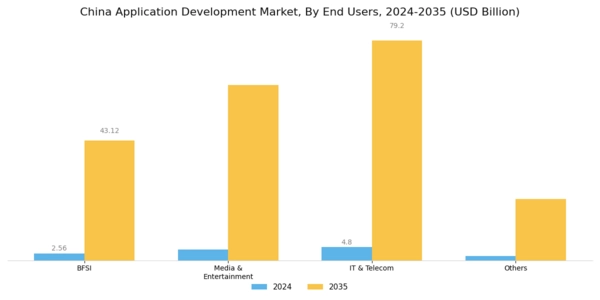 China Application Development Market Segment Image 2