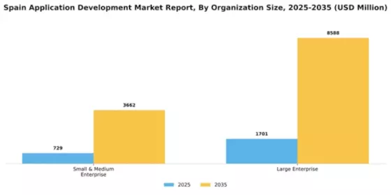 Spain Application Development Market Segment Image 1