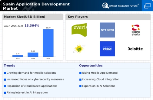Spain Application Development Market Infographic