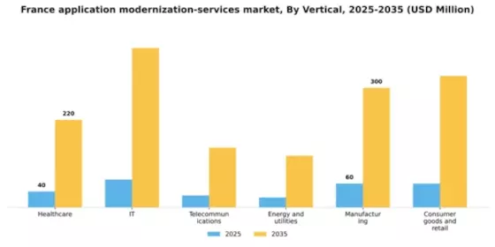 France Application Modernization Services Market Segment Image 2