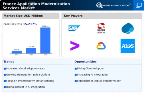 France Application Modernization Services Market Infographic