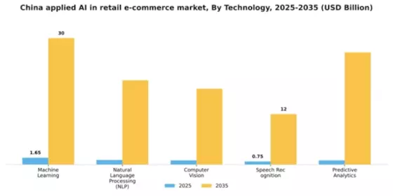 China Applied AI in Retail E Commerce Market Segment Image 3
