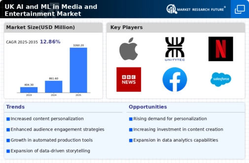 UK AI ML in Media and Entertainment Market Infographic