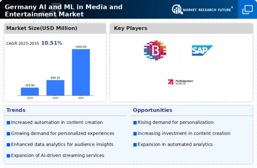 Germany AI ML in Media and Entertainment Market Infographic