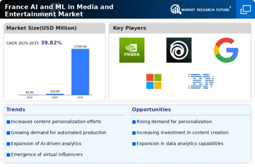 France AI ML in Media and Entertainment Market Infographic
