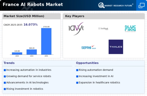France AI Robots Market Infographic