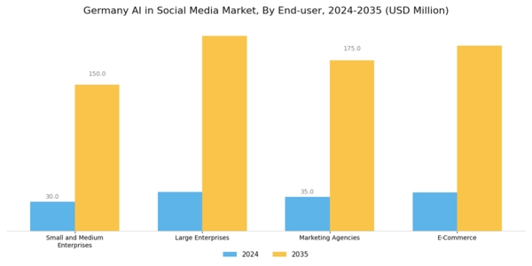 Germany AI in Social Media Market Segment Image 2