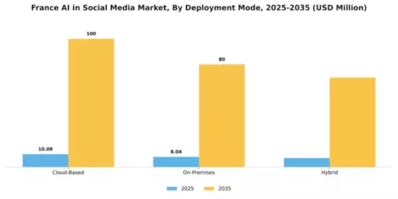 France AI in Social Media Market Segment Image 1