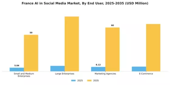 France AI in Social Media Market Segment Image 2