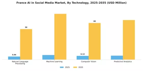 France AI in Social Media Market Segment Image 3