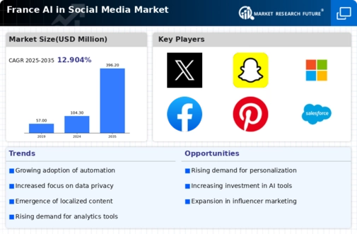 France AI in Social Media Market Infographic
