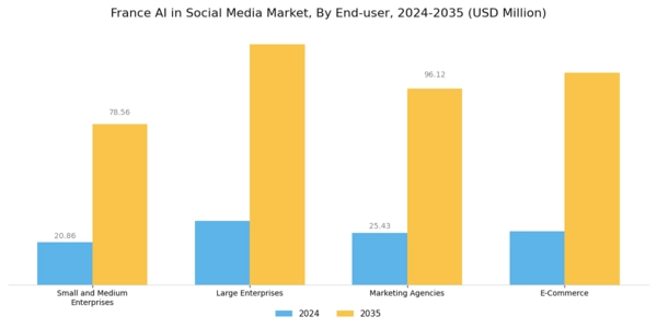 France AI in Social Media Market Segment Image 2