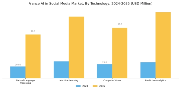 France AI in Social Media Market Segment Image 3