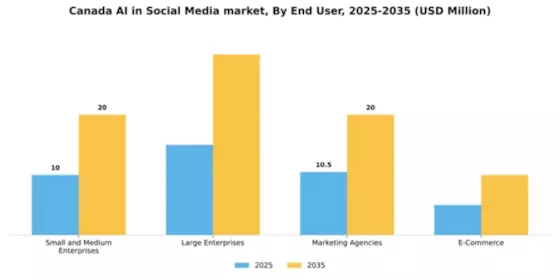 Canada AI in Social Media Market Segment Image 2
