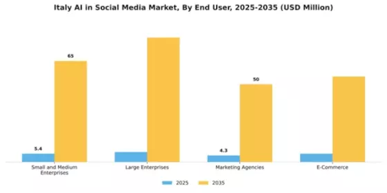 Italy AI in Social Media Market Segment Image 2